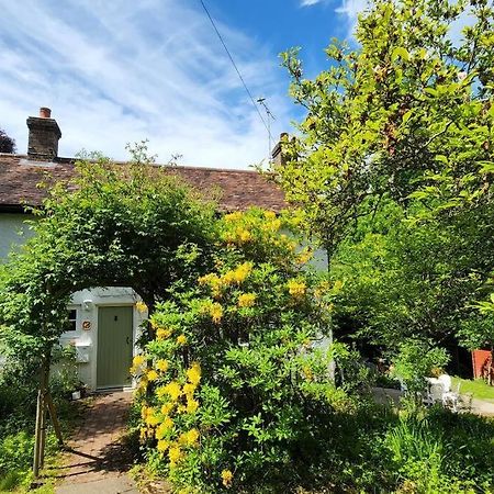 Ashdown Forest Character Cottage, 18Th Century Crowborough Ngoại thất bức ảnh